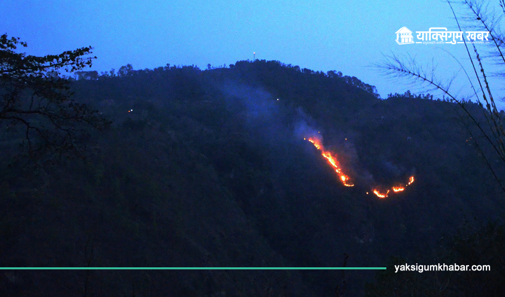 अधिकांश डढेलोका घटना ४ महिनाभित्र, यो समय उच्च जोखिमपूर्ण