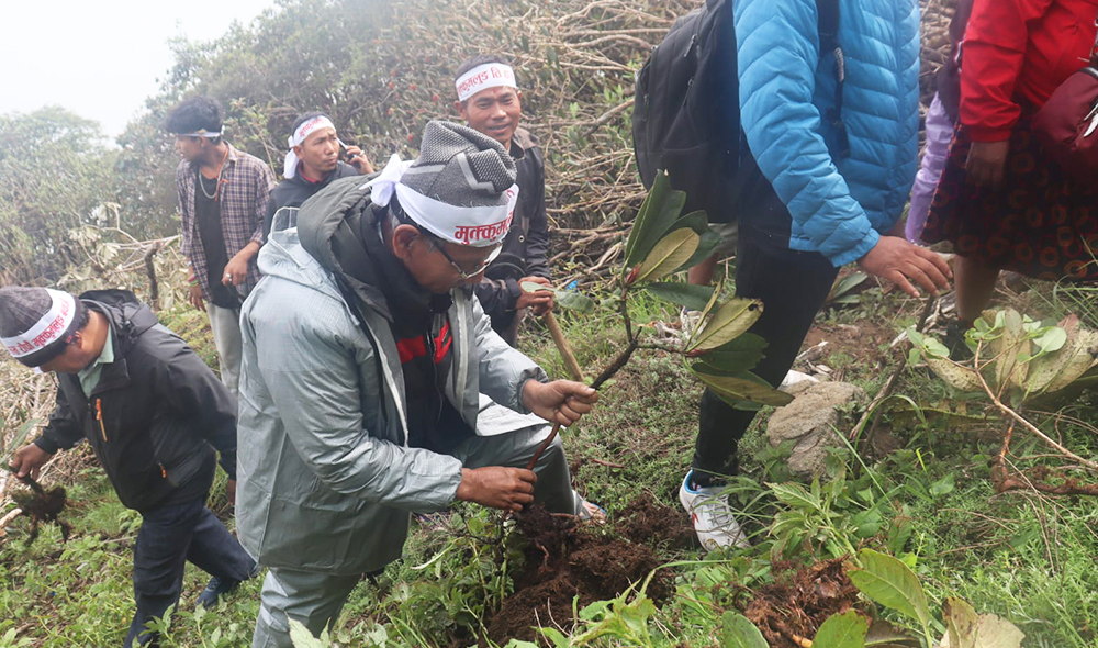 मुक्कुम्लुङमा एकै दिन ६ हजार वृक्षारोपण