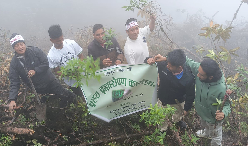 मुक्कुम्लुङमा बर्सेनि वृक्षारोपण गरिने, यसपालि असार १५ सम्म निरन्तर