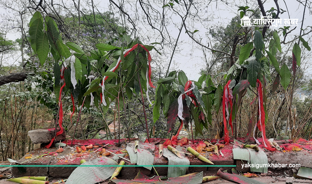 उभौलीको कामना- बालीनाली राम्रो होस्, रोगव्याध नलागोस्